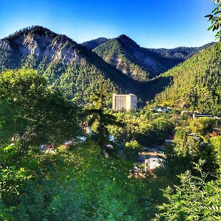 Borjomi Veranda Kültér fotó