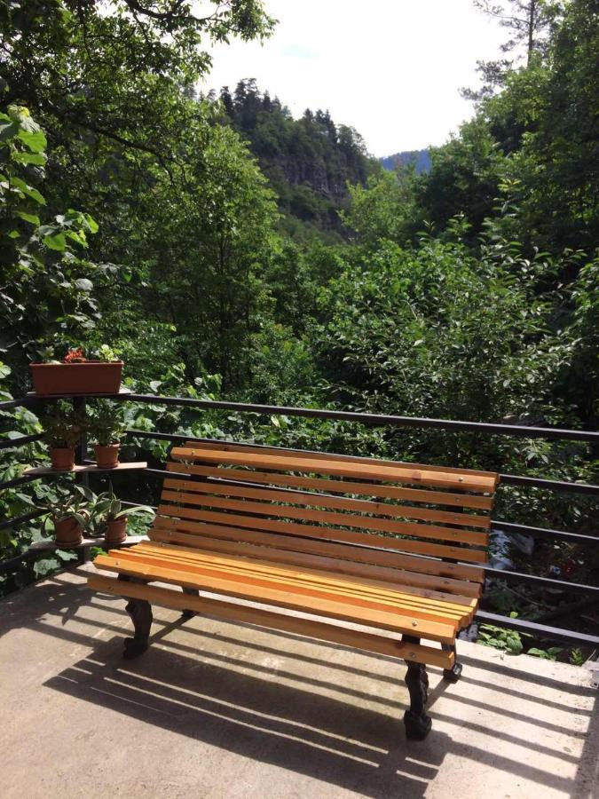 Borjomi Veranda Kültér fotó