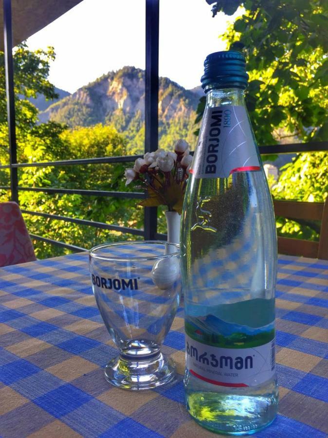 Borjomi Veranda Kültér fotó
