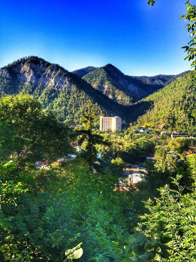 Borjomi Veranda Kültér fotó