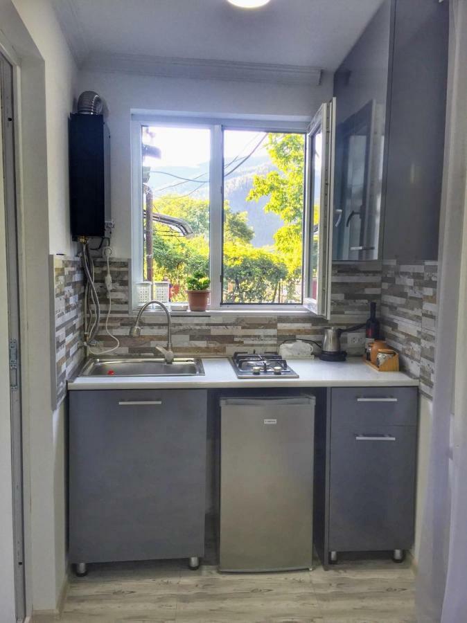 Borjomi Veranda Kültér fotó